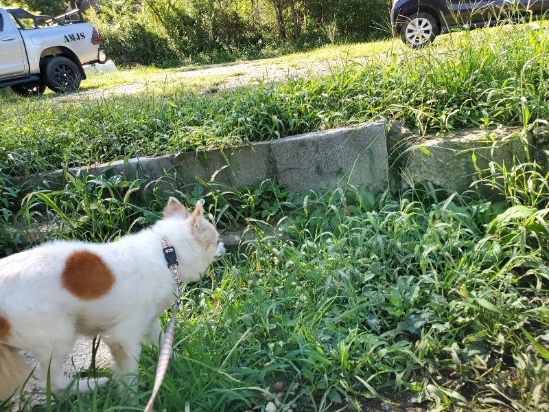 f:id:roukenhome-ann:20190907201559j:plain