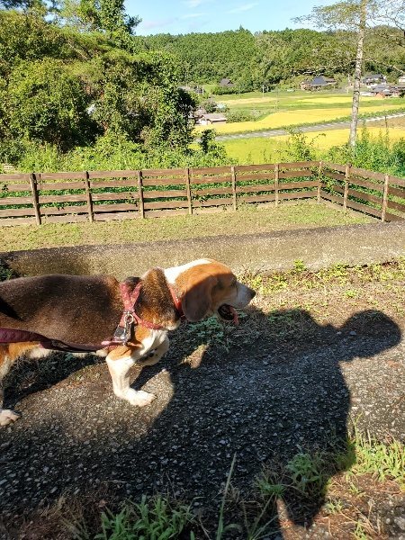 f:id:roukenhome-ann:20190907201632j:plain