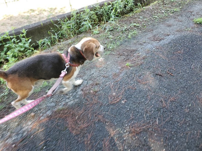 f:id:roukenhome-ann:20190907201727j:plain