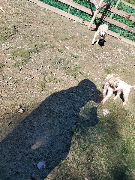 f:id:roukenhome-ann:20190907201748j:plain