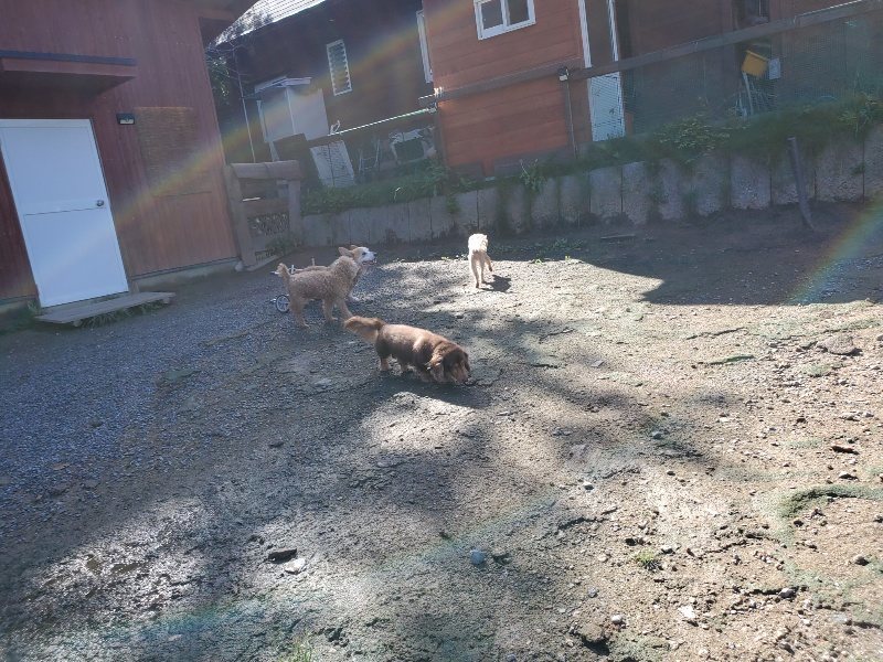 f:id:roukenhome-ann:20190907201950j:plain