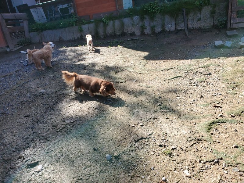 f:id:roukenhome-ann:20190907202005j:plain