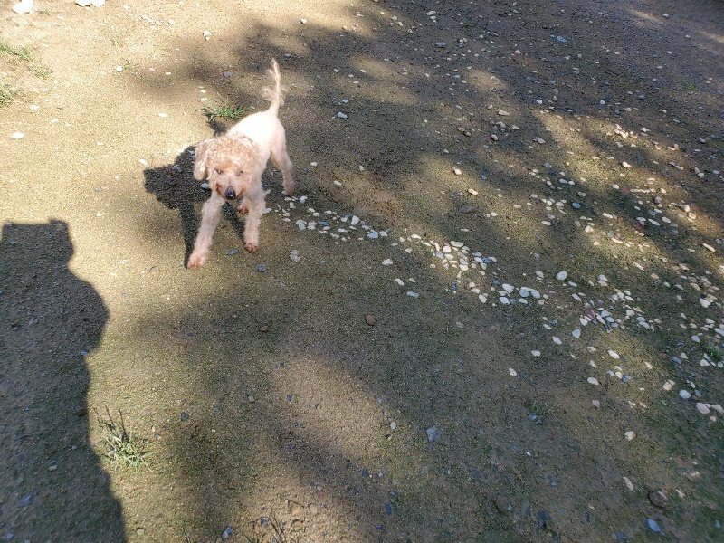 f:id:roukenhome-ann:20190907202055j:plain