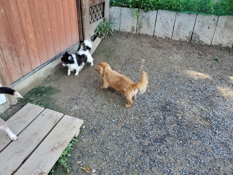 f:id:roukenhome-ann:20190907202109j:plain