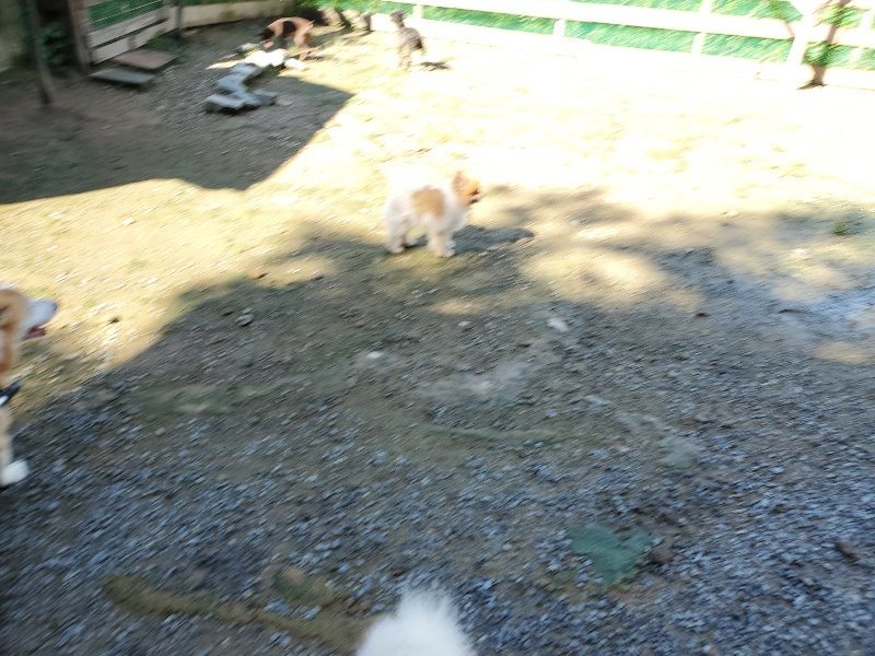 f:id:roukenhome-ann:20190907202116j:plain