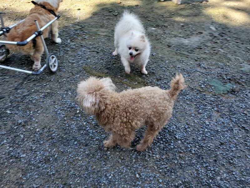 f:id:roukenhome-ann:20190907202124j:plain