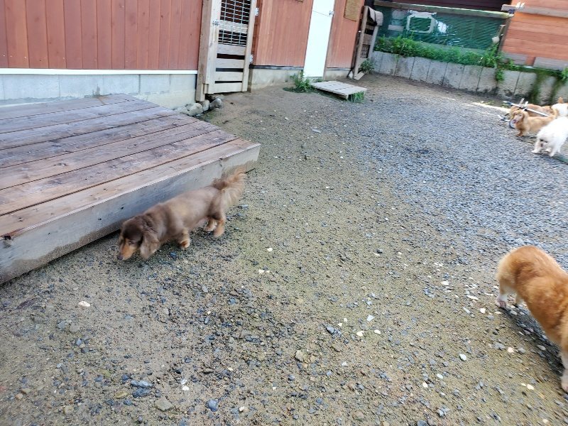 f:id:roukenhome-ann:20190907202146j:plain
