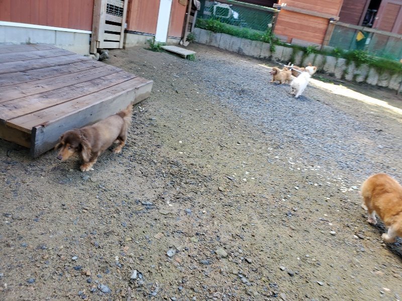 f:id:roukenhome-ann:20190907202157j:plain