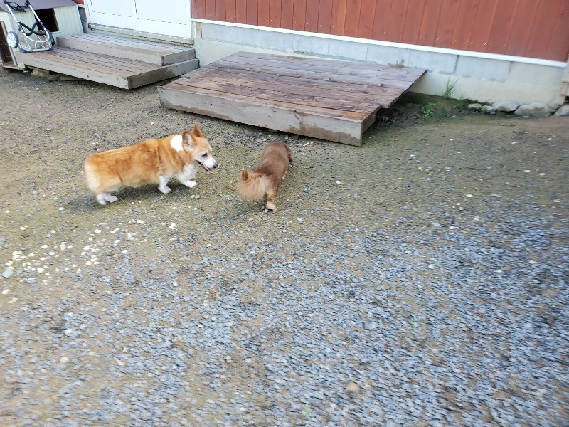 f:id:roukenhome-ann:20190907202220j:plain