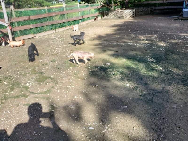 f:id:roukenhome-ann:20190907202232j:plain