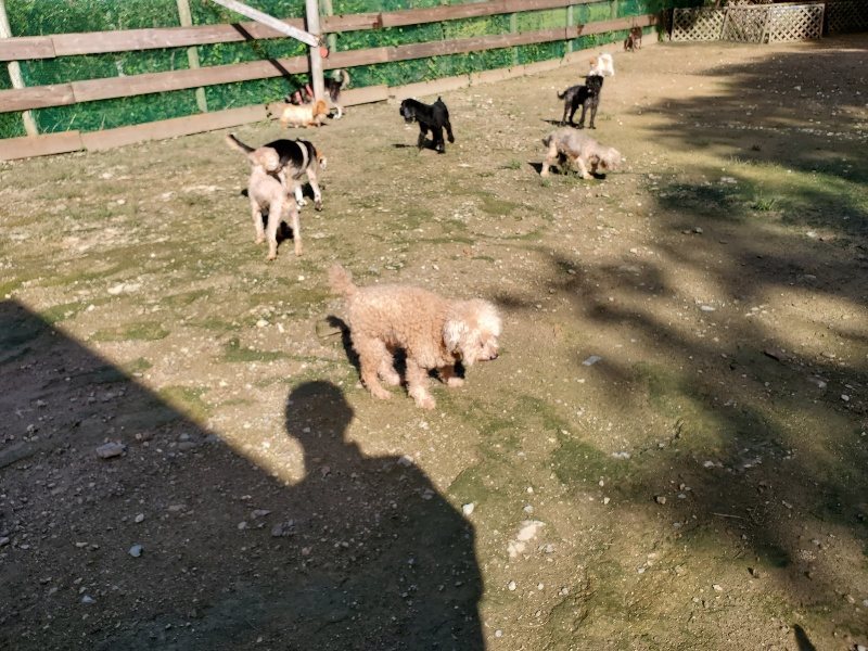f:id:roukenhome-ann:20190907202253j:plain