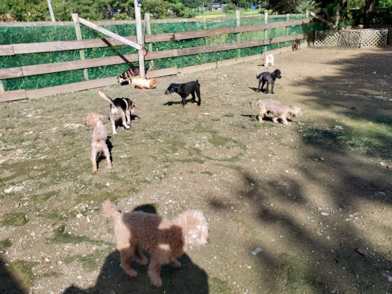 f:id:roukenhome-ann:20190907202302j:plain