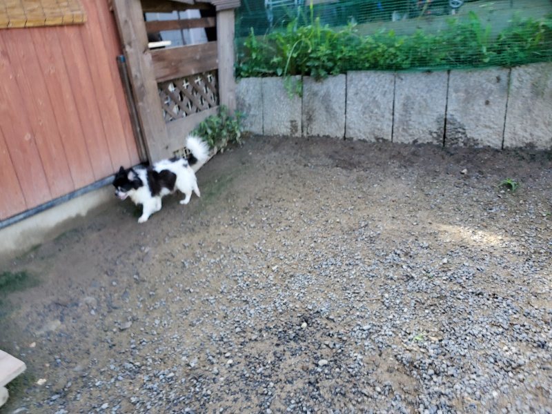 f:id:roukenhome-ann:20190907202310j:plain