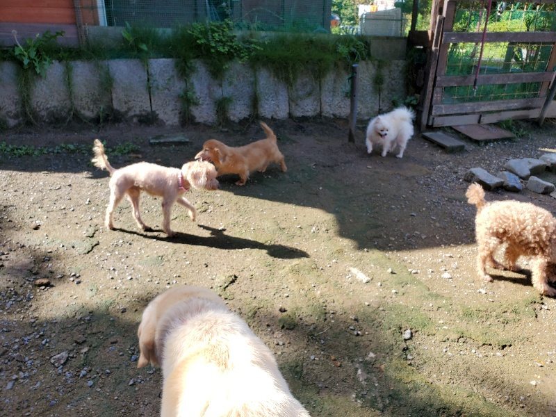 f:id:roukenhome-ann:20190907202333j:plain