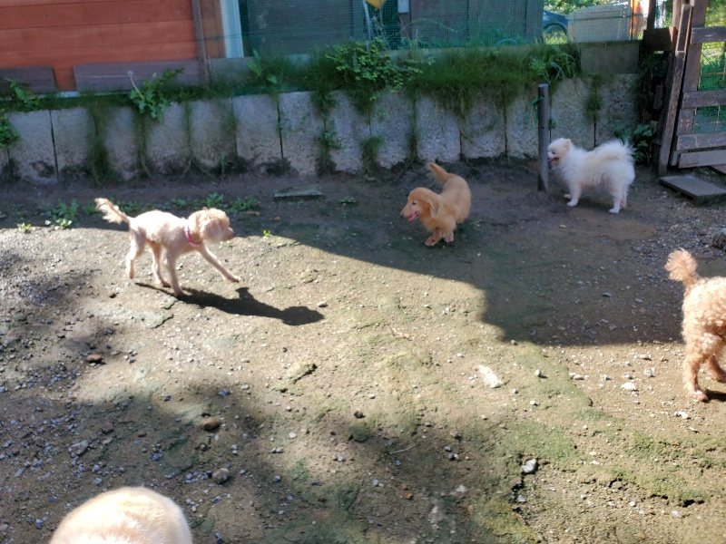f:id:roukenhome-ann:20190907202353j:plain
