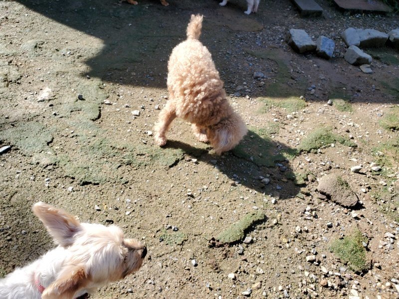 f:id:roukenhome-ann:20190907202409j:plain