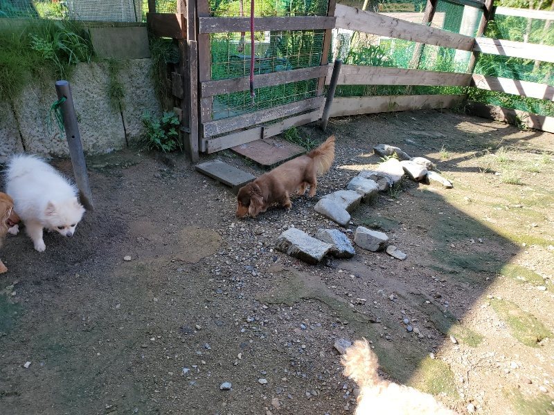 f:id:roukenhome-ann:20190907202503j:plain