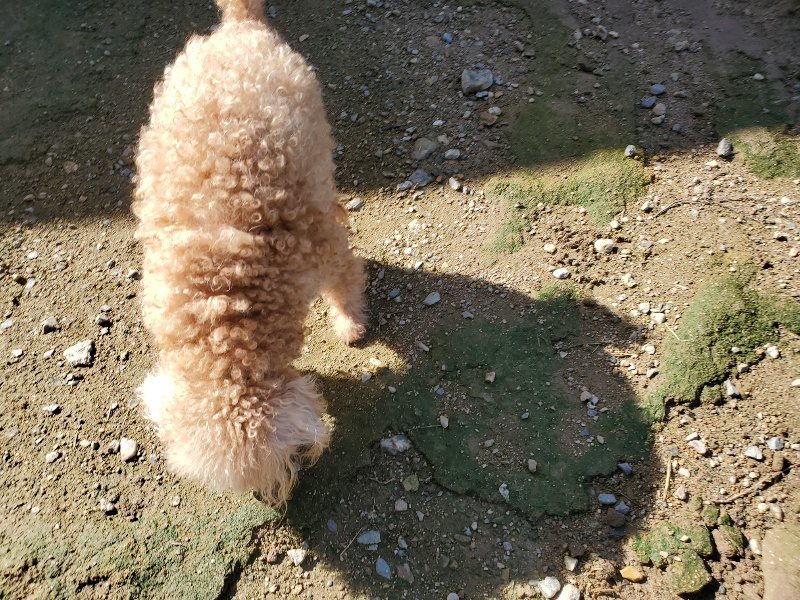 f:id:roukenhome-ann:20190907202522j:plain