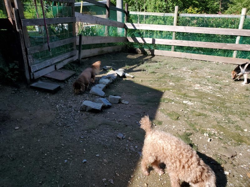 f:id:roukenhome-ann:20190907202601j:plain