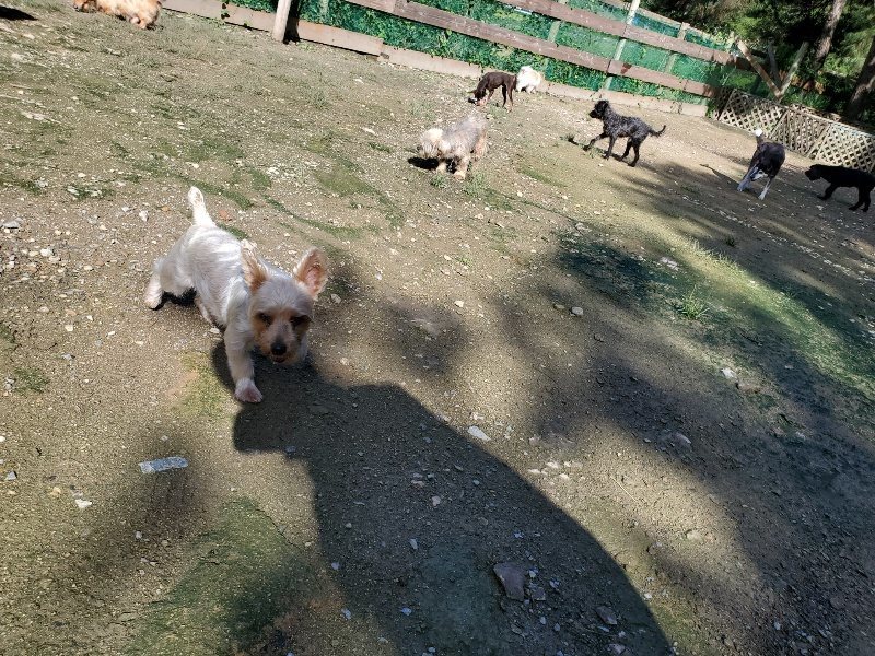 f:id:roukenhome-ann:20190907202613j:plain