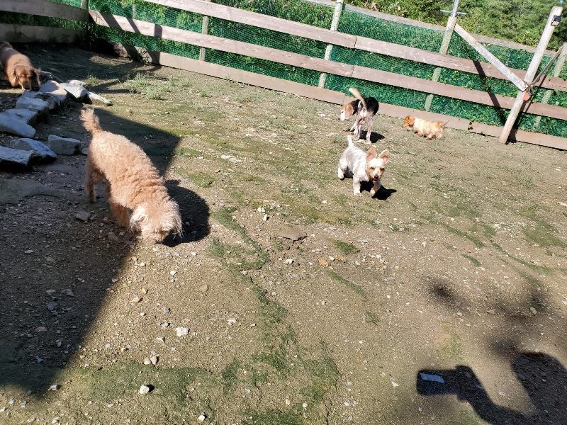 f:id:roukenhome-ann:20190907202630j:plain
