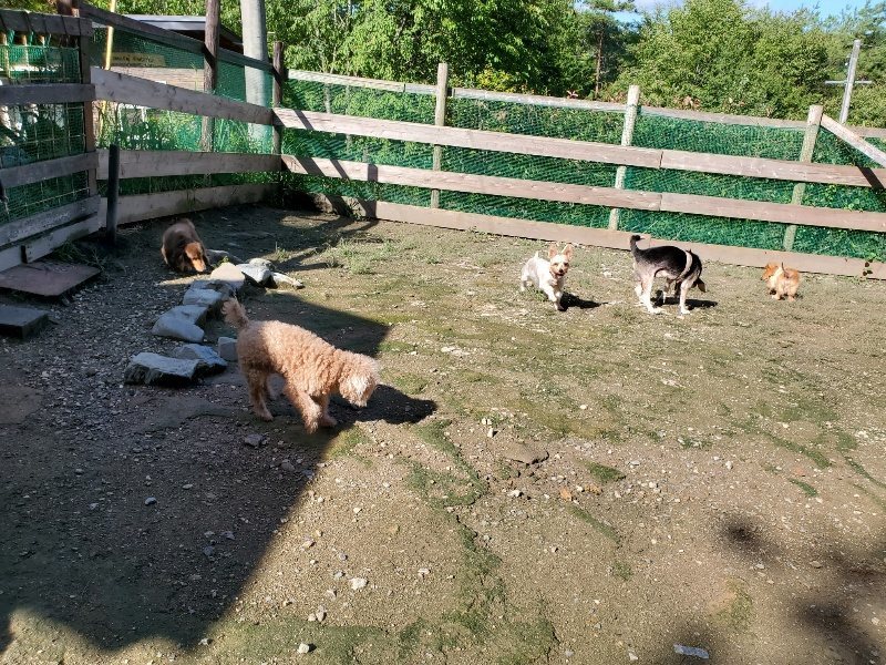 f:id:roukenhome-ann:20190907202645j:plain