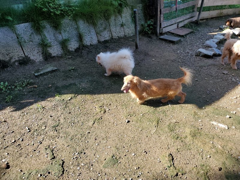 f:id:roukenhome-ann:20190907202701j:plain