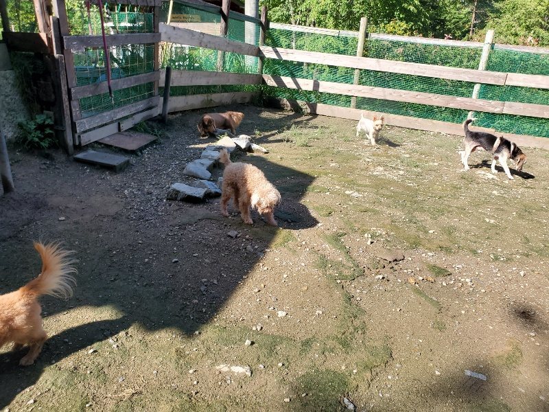 f:id:roukenhome-ann:20190907202717j:plain