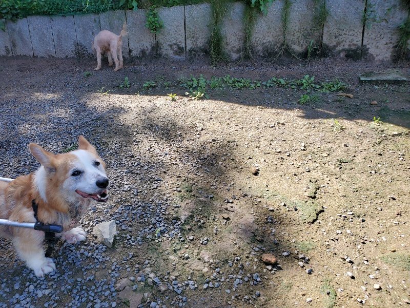 f:id:roukenhome-ann:20190907202814j:plain