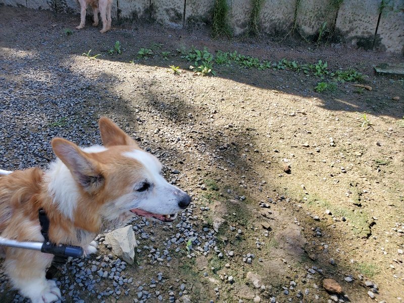 f:id:roukenhome-ann:20190907202828j:plain