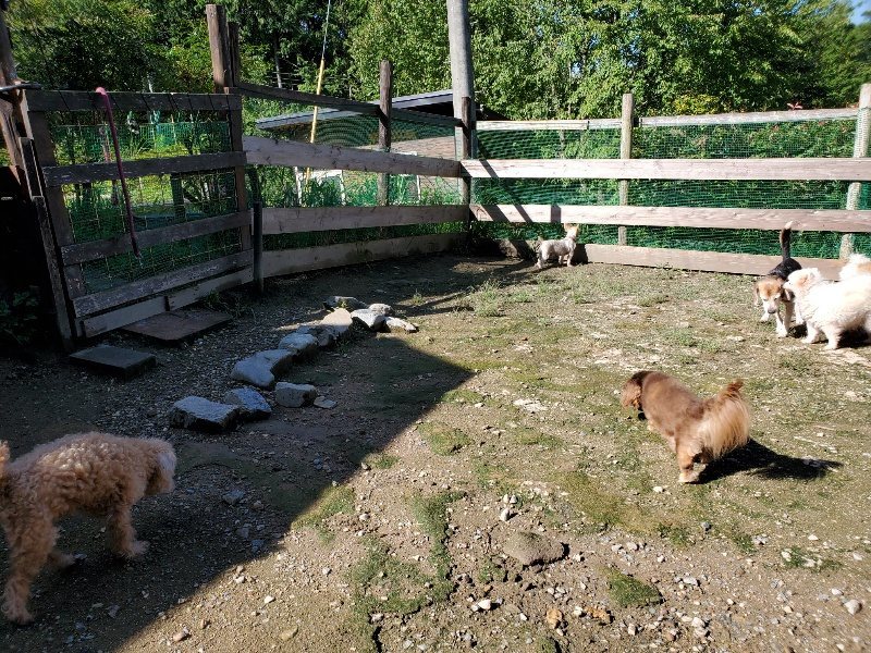 f:id:roukenhome-ann:20190907202849j:plain