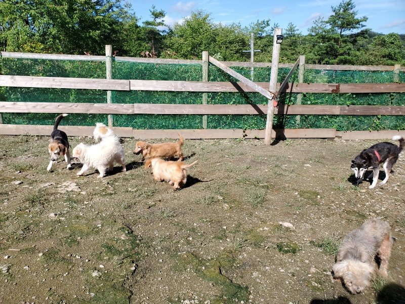 f:id:roukenhome-ann:20190907202911j:plain
