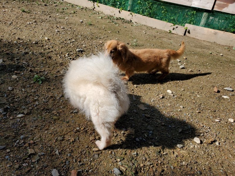 f:id:roukenhome-ann:20190907210249j:plain