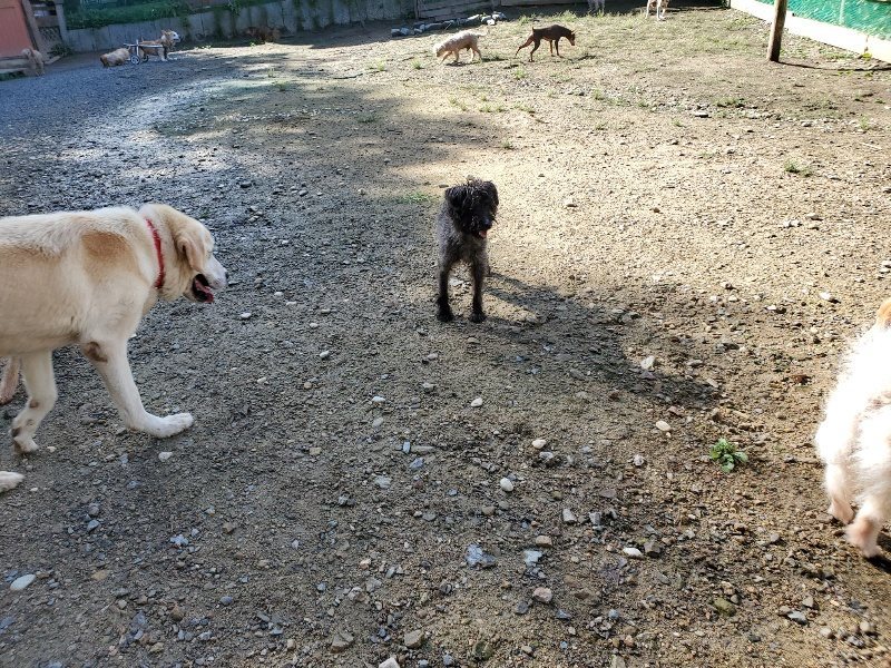 f:id:roukenhome-ann:20190907210309j:plain