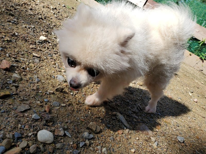 f:id:roukenhome-ann:20190907210331j:plain
