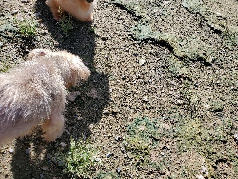 f:id:roukenhome-ann:20190907210358j:plain