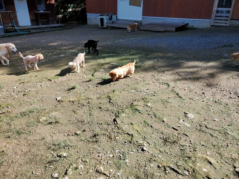 f:id:roukenhome-ann:20190907210439j:plain