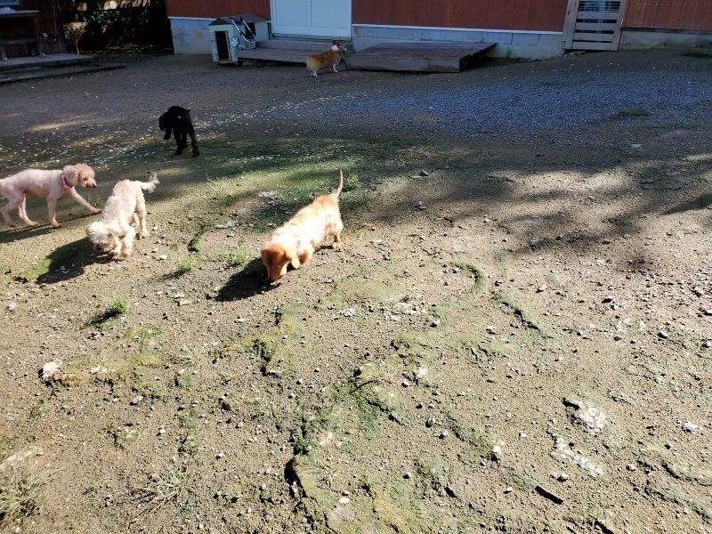 f:id:roukenhome-ann:20190907210449j:plain