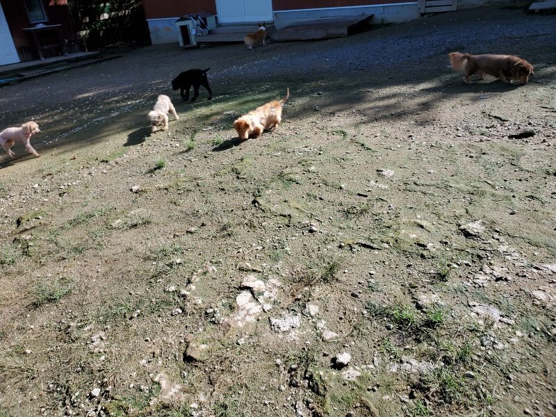 f:id:roukenhome-ann:20190907210510j:plain