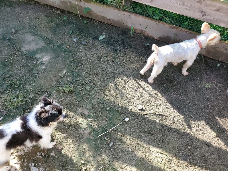 f:id:roukenhome-ann:20190907210520j:plain