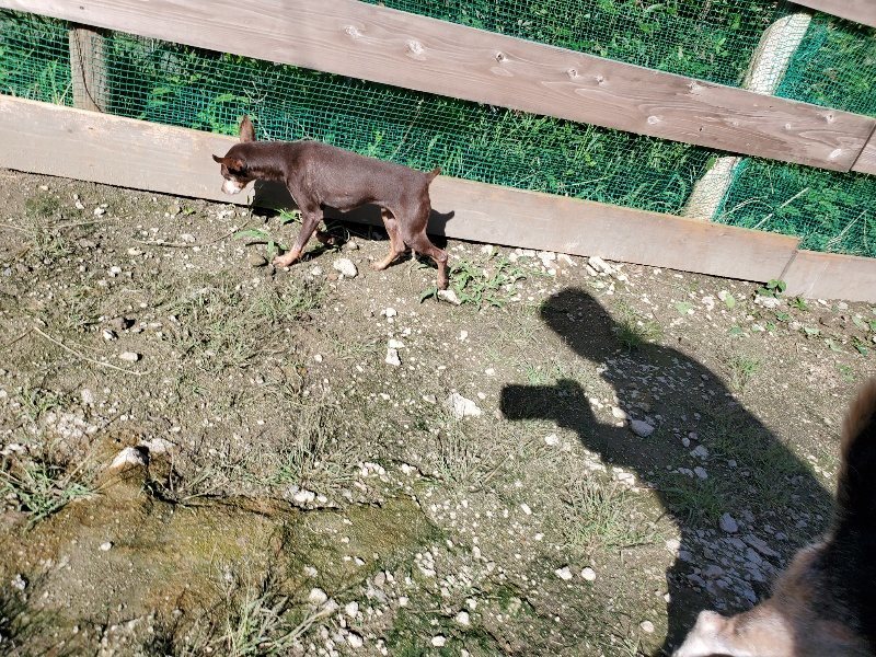 f:id:roukenhome-ann:20190907210652j:plain