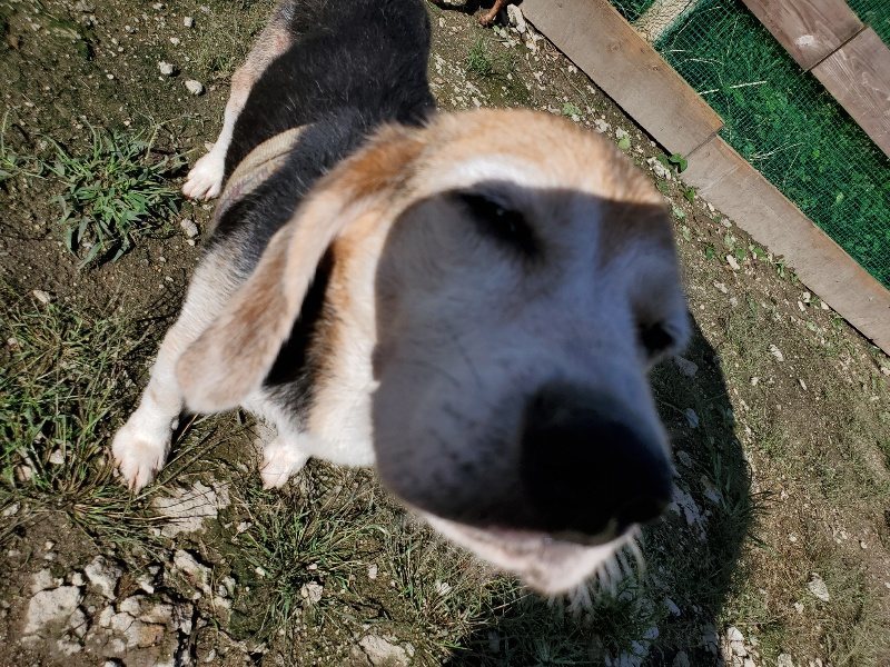 f:id:roukenhome-ann:20190907210709j:plain