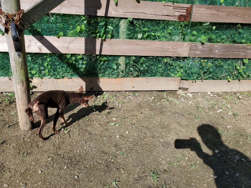 f:id:roukenhome-ann:20190907210919j:plain