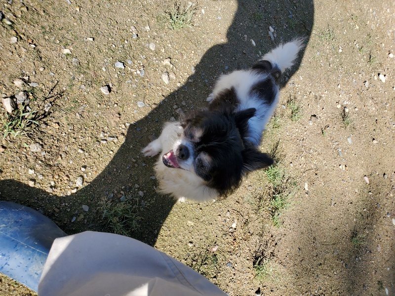 f:id:roukenhome-ann:20190907211001j:plain