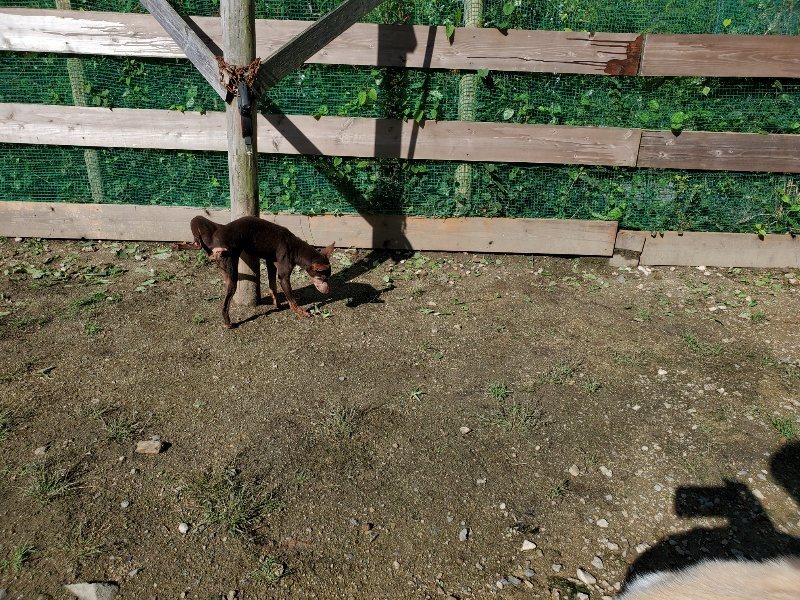 f:id:roukenhome-ann:20190907211030j:plain