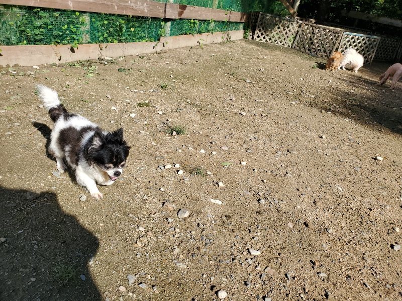 f:id:roukenhome-ann:20190907211221j:plain