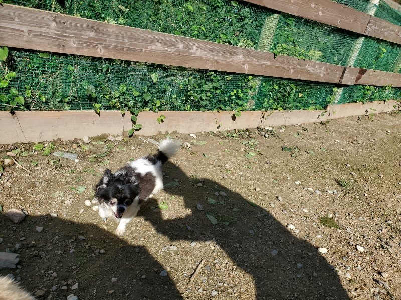 f:id:roukenhome-ann:20190907211233j:plain