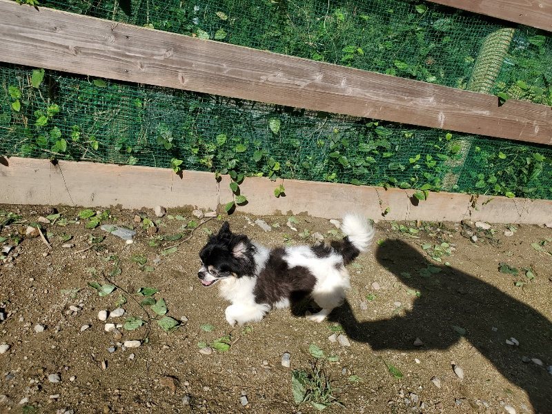 f:id:roukenhome-ann:20190907211245j:plain