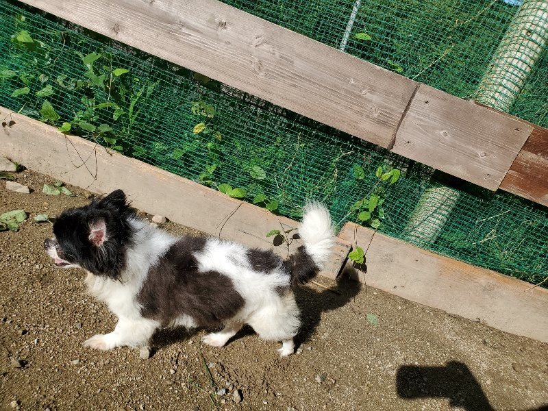 f:id:roukenhome-ann:20190907211255j:plain