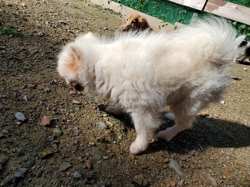 f:id:roukenhome-ann:20190907211539j:plain